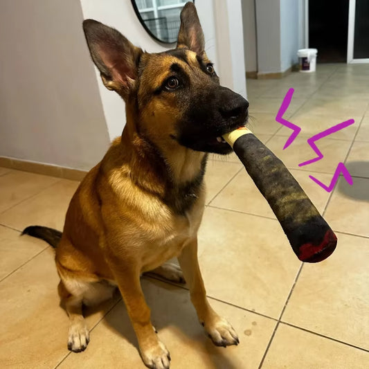 Dog Simulation Cigar Plush Sound Puppy Toys Green Stick Dogs Pet Chew Bite Toy with Squeake Stuffed Raw Dog Joint Toys Spot Good